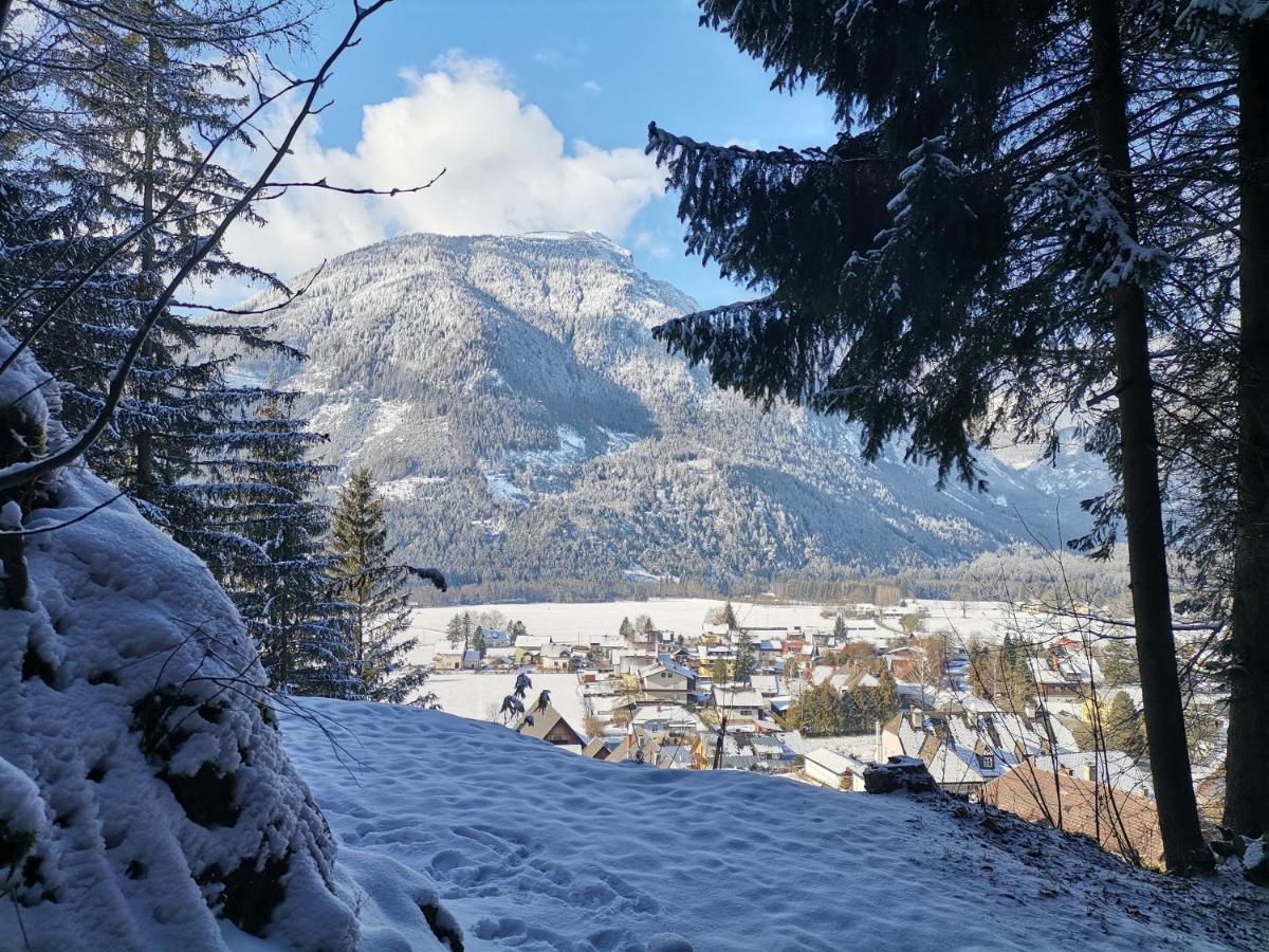 Haus Bergblick Fruehstueckspension Oberort Екстериор снимка