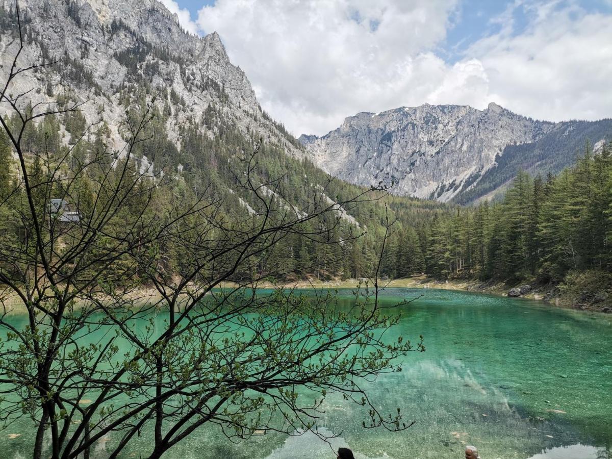 Haus Bergblick Fruehstueckspension Oberort Екстериор снимка