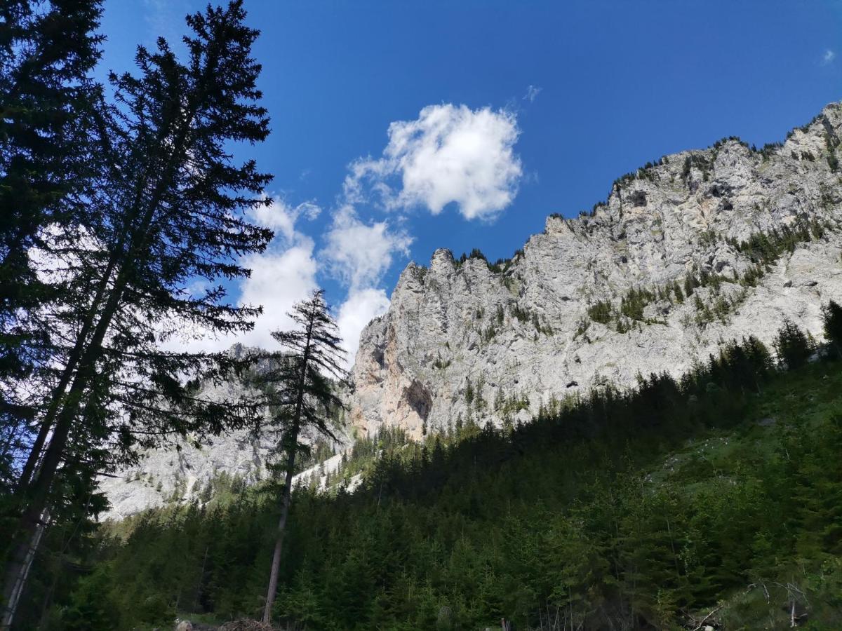 Haus Bergblick Fruehstueckspension Oberort Екстериор снимка