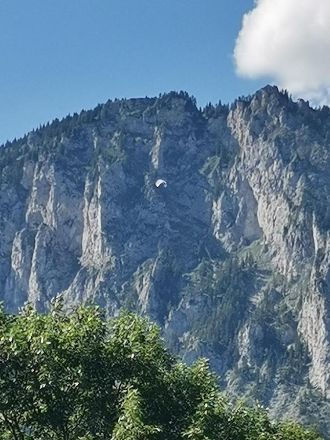 Haus Bergblick Fruehstueckspension Oberort Екстериор снимка