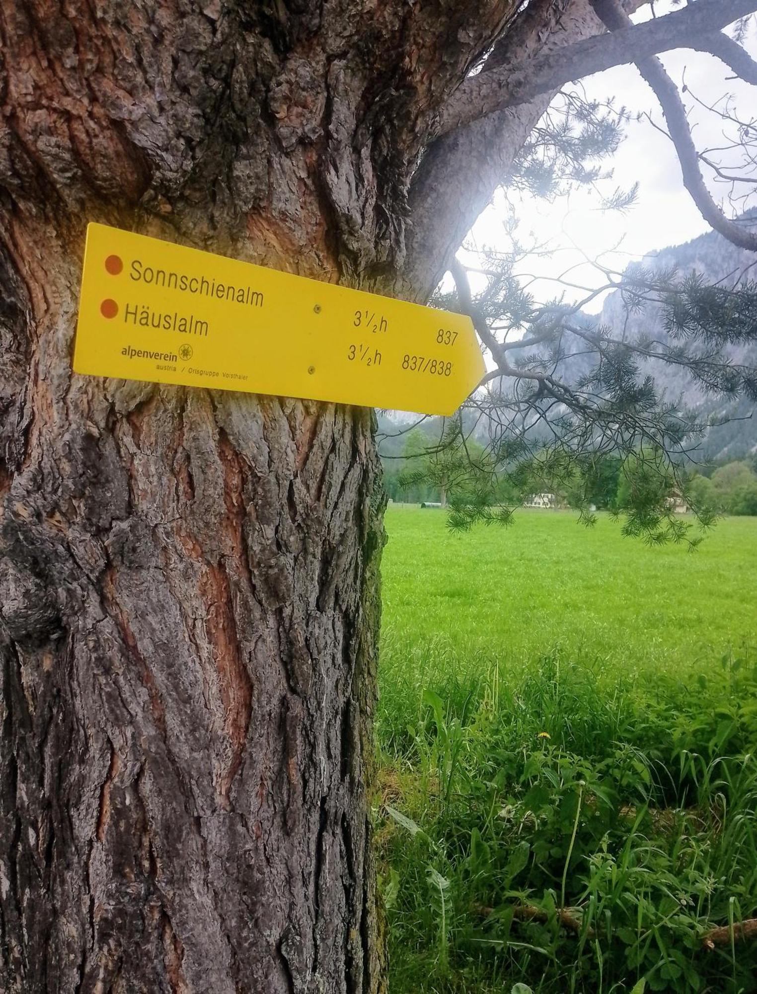 Haus Bergblick Fruehstueckspension Oberort Екстериор снимка